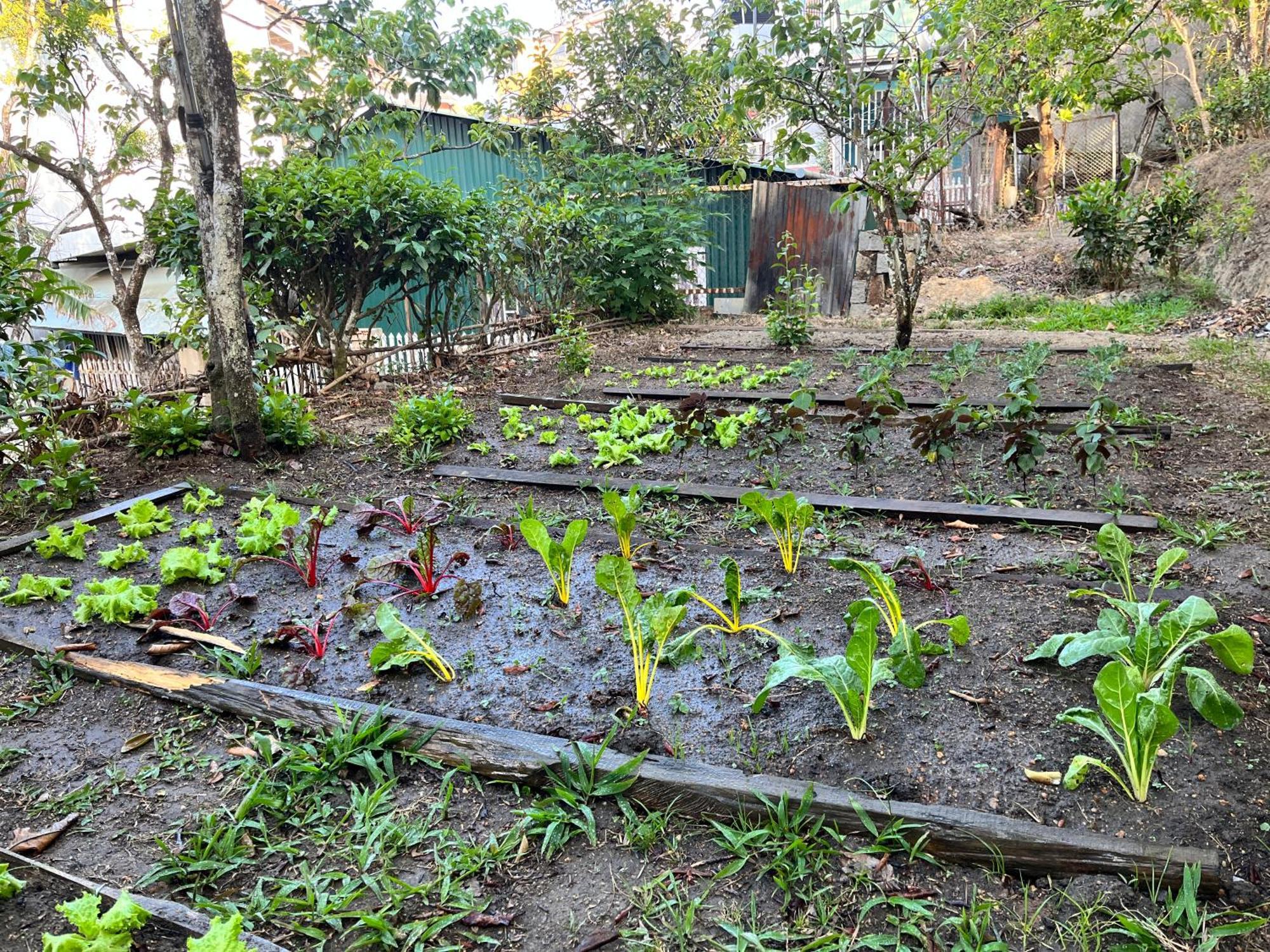 Nap O Teepee Homestay Đà Lạt Exterior foto